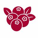 Koncentrat soku z borówki brusznicy - icon